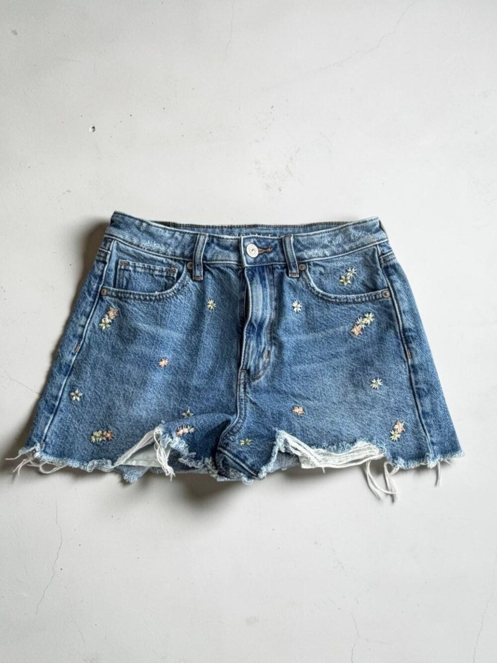 AMERICAN EAGLE Floral Embroidered Denim Shorts Size US 2